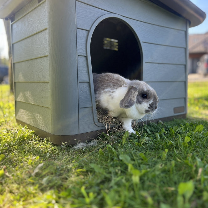 Duvoplus Tierhaus Pepita Eco - grün 60 x 41 x 51cm